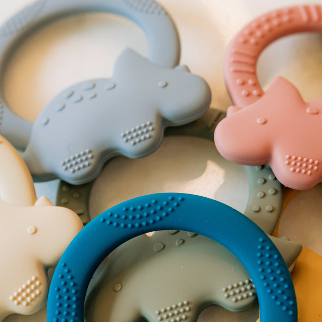 Silicone Dino Teether