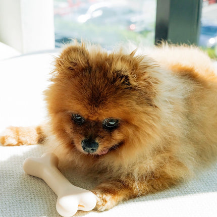 Silicone Chew Bone Dog Toy