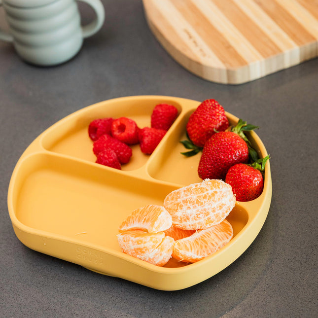 Silicone Suction Plate