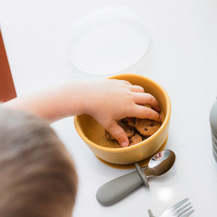 Silicone Suction Bowl with Lid