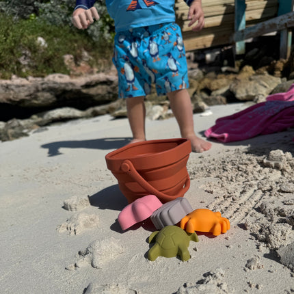 Beach Toy Set